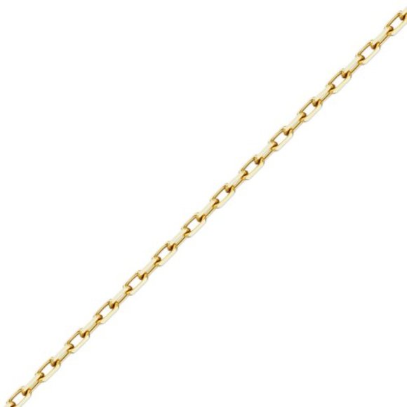 NWT Sisterberry Diamond Cut Rolo Chain // 10k Italian Solid Gold (18") - Picture 1 of 3